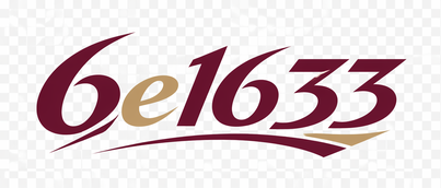 6e1633